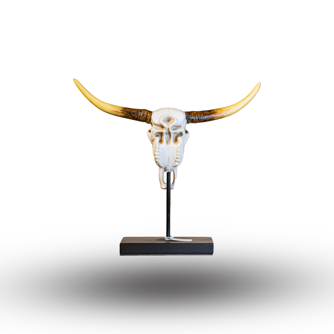 Rustic Longhorn Skull Display image 1