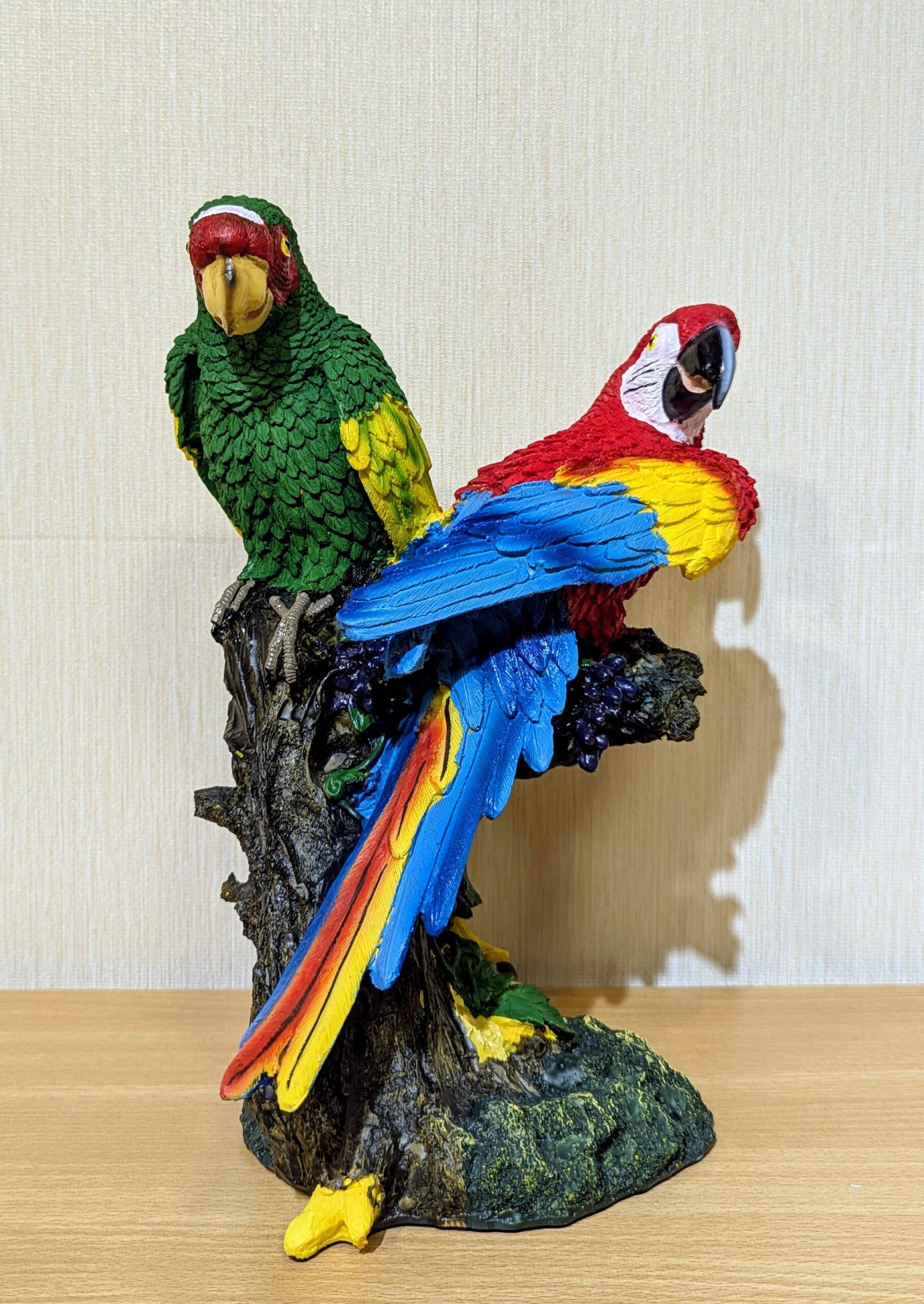 Macaw